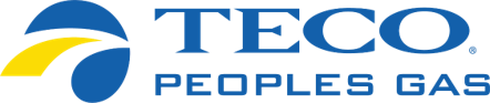 TECO logo